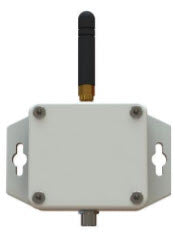 {{ product_title }} | {{ product_type }} from Partners IT Group